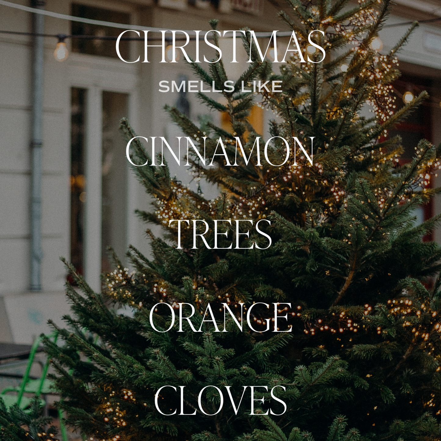 Christmas Clear Reed Diffuser - Christmas Home Decor & Gifts